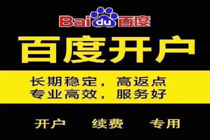竞价排名的投放策略与效果评估案例